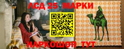 шишки Бузулук