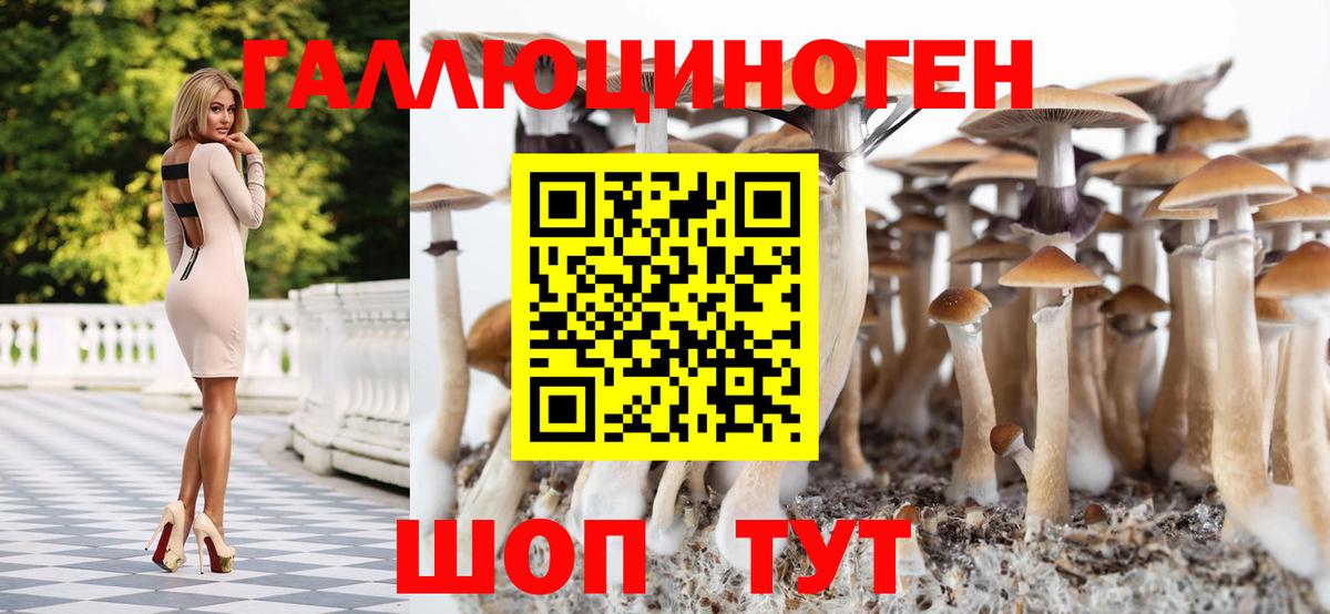 Псилоцибиновые грибы Magic Shrooms  Вход с VPN  Улан-Удэ  Галлюциногенные грибы Psilocybe 